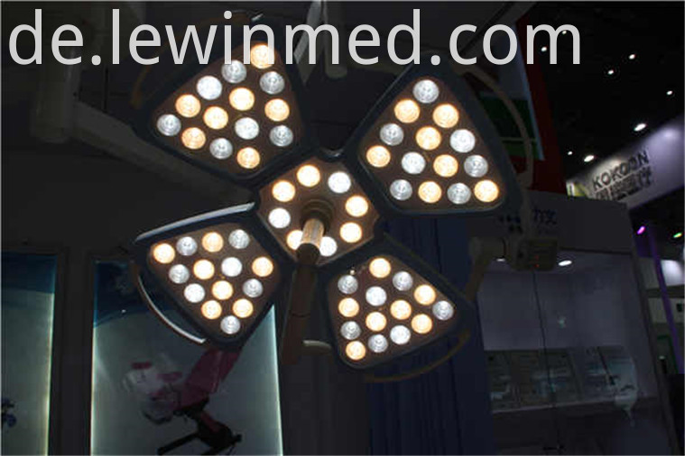 Petal led cold light lamp